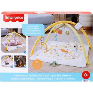 Saltea cu activitati, Fisher Price, Simply Senses Newborn Gym, JMN74